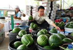 长春最新吃瓜事件爆料新闻,揭秘幕后真相，网络热议事件全解析