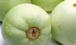 工商爆料吃瓜网是真的吗,吃瓜网真实性揭秘