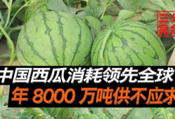 工商爆料吃瓜网是真的吗,吃瓜网真实性揭秘