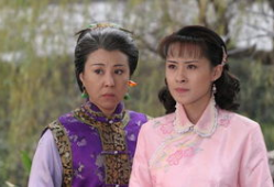 电视剧媳妇的眼泪,揭示家庭纷争背后的温情与坚韧